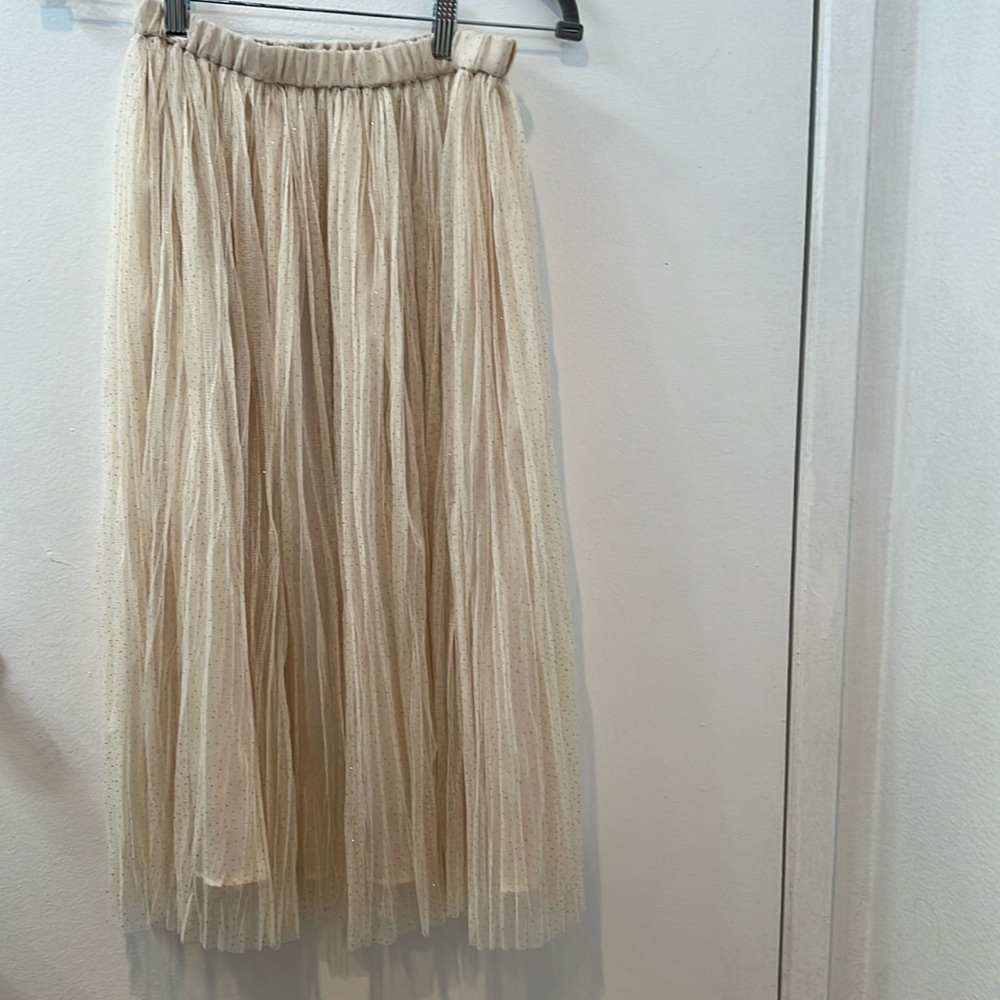Glittery skirt